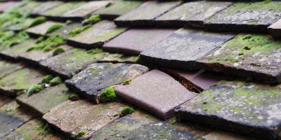 Melindwr roof repair costs